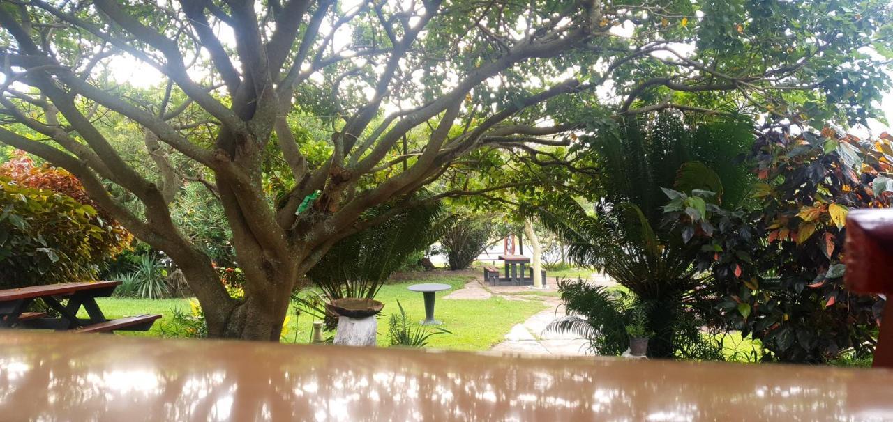 Sunset Bed And Breakfast Coffee Bay Εξωτερικό φωτογραφία